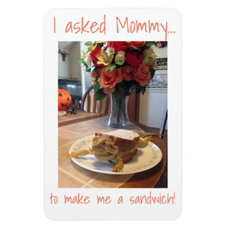 Íman Magneta Sanduíche do Dragão