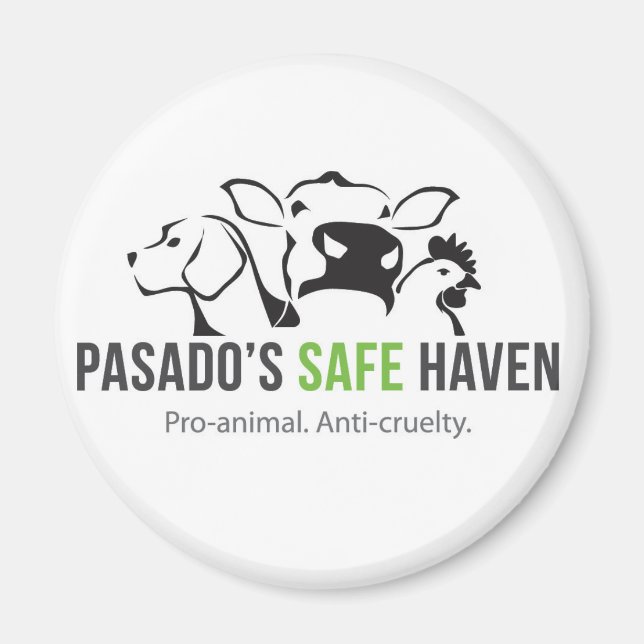 Íman Magneta Santuária (Frente)