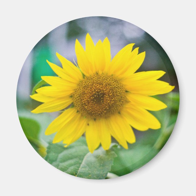 Íman Magneta sem título (Frente)