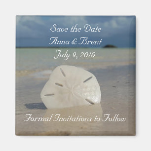 Íman Magneta sem título