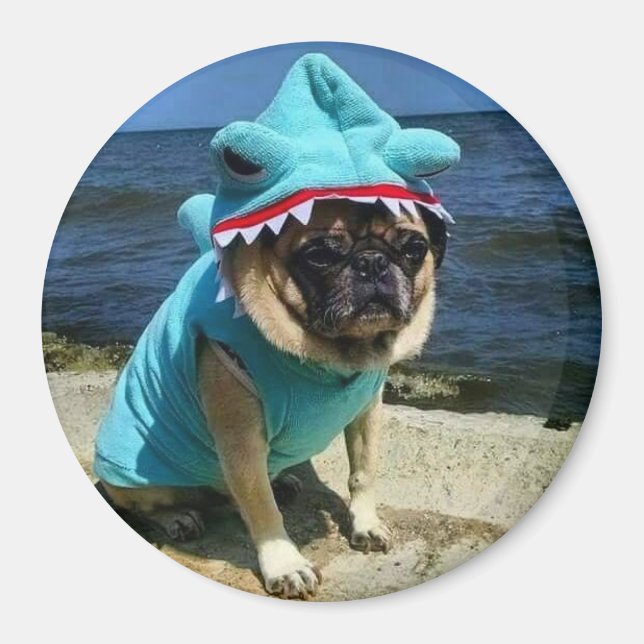 Íman Magneta Shark Pug (Frente)