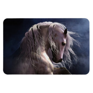 Íman Magneta Silver Ghost Premium Flexi