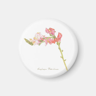 Íman Magneta Snapdragon