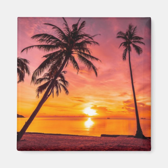 Íman Magneta solar tropical (Frente)
