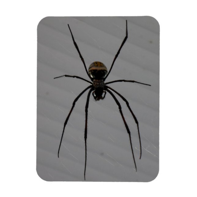 Íman Magneta Spider 3"x4" (Vertical)