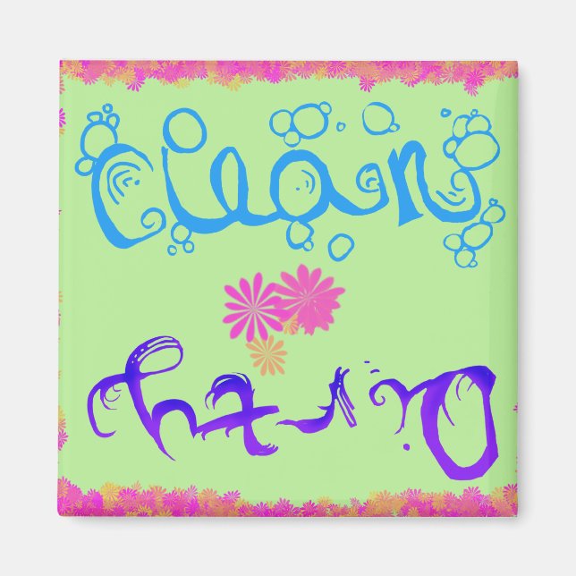 Íman Magneta suja e limpa da máquina de lavar louça (Frente)