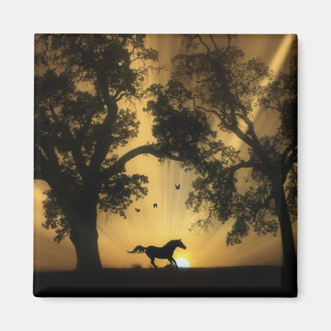 Íman Magneta Super Bonito de Cavalo Livre (Frente)