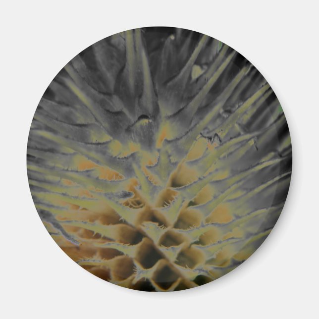 Íman Magneta Supernova de Grama Selvagem (Frente)