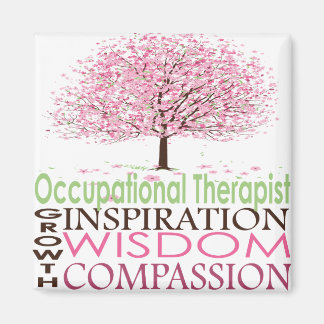 Íman Magneta Terapêutica Ocupacional