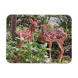 Íman Magneta Twin Fawns