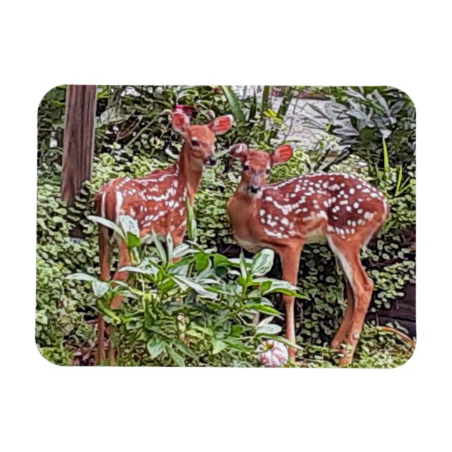 Íman Magneta Twin Fawns (Horizontal)