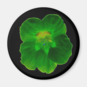 Íman Magneta verde de Nasturtium
