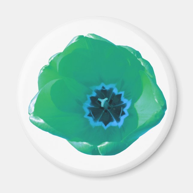 Íman Magneta verde e azul (Frente)
