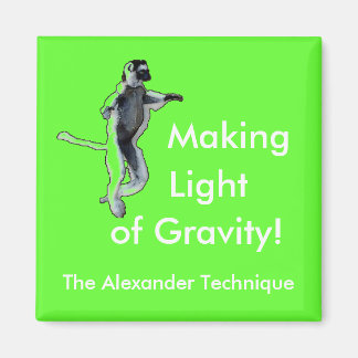 Íman Magneta Verde Quadrada 2