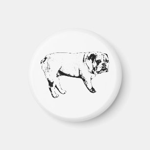 Íman Magneta Watchful Bulldog