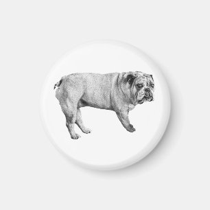 Íman Magneta Watchful Bulldog