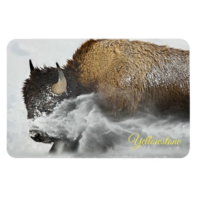 Íman Magneta Yellowstone (Horizontal)