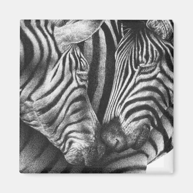 Íman Magneta Zebra Cuja (Frente)