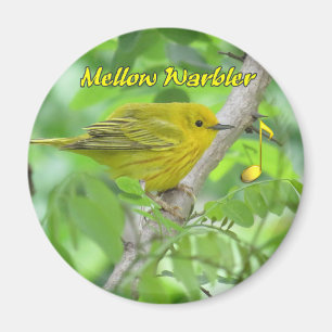 Íman Magnete amarelo (Mellow) Warbler