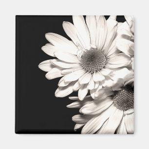 Íman Magnete de Daisies