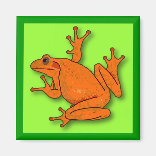 Íman Magnete de Sapo Laranja Quadrado de 2 Polegadas (Frente)