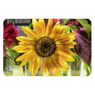 Íman Magnete Flexi De Girassol
