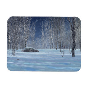 Íman Magnete flexível silencioso