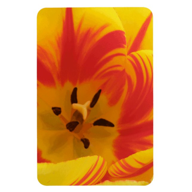 Íman Magnete Premium com Tulip Fiery (Vertical)