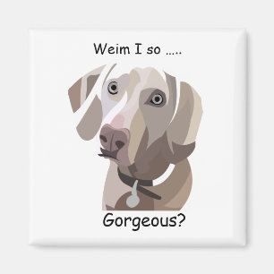 Íman Magnete Weimaraner