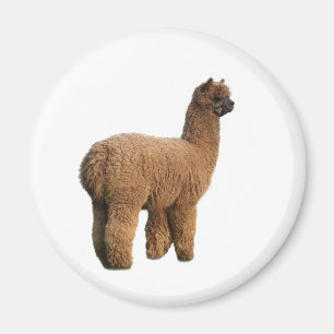 Íman Magnética Alpaca
