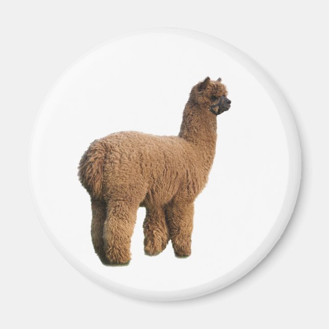 Íman Magnética Alpaca (Frente)