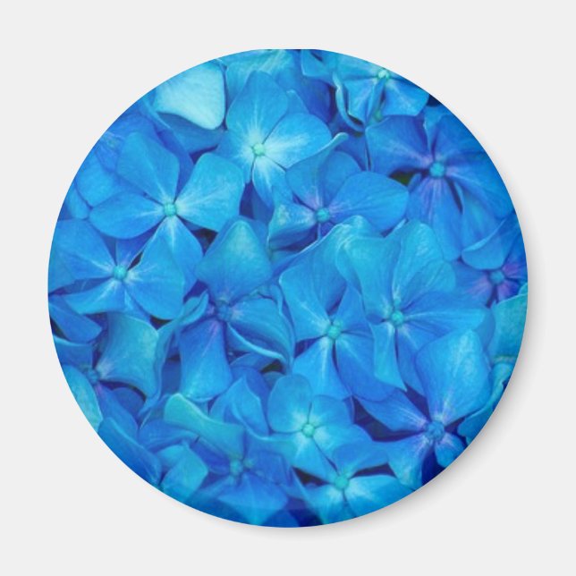 Íman Magnético Azul (Frente)