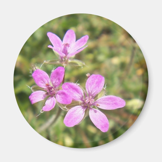 Íman Magnético Flor (Frente)