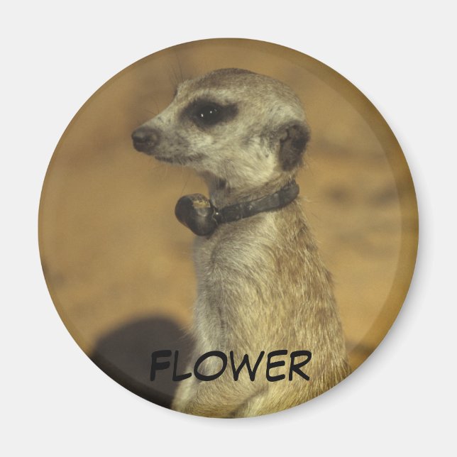 Íman Magnético Flor (Frente)