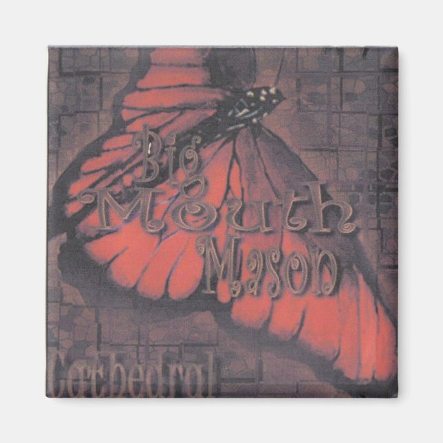 Íman Magneto BMM (Frente)