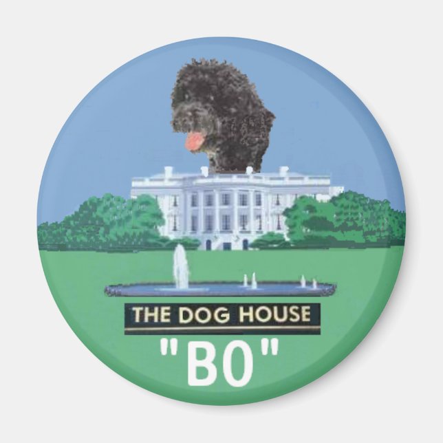 Íman Magneto BO (Frente)