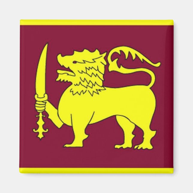 Íman Magneto da Besta Amarela (Frente)