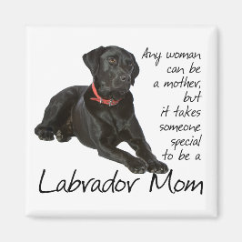 Íman Magneto da Mãe do Laboratório Negro