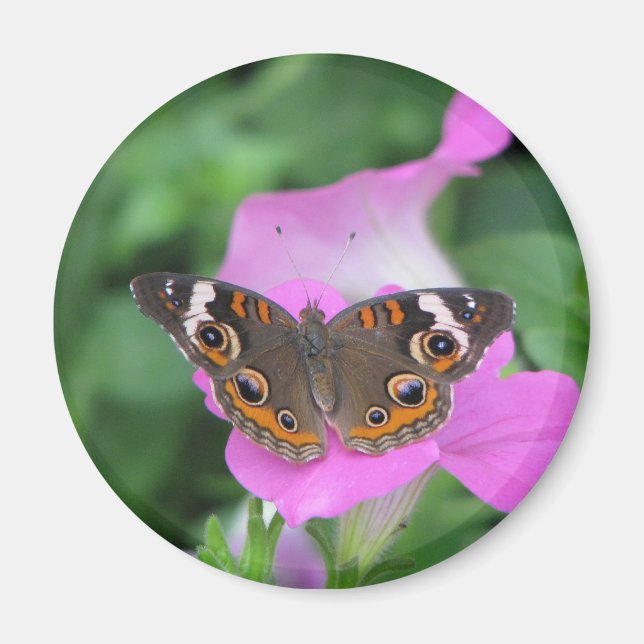 Íman Magneto de Borboleta (Frente)