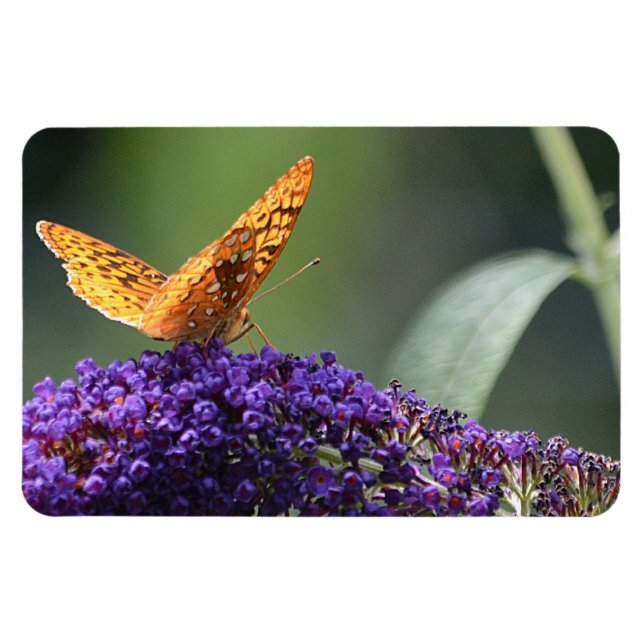 Íman Magneto de Borboleta (Horizontal)