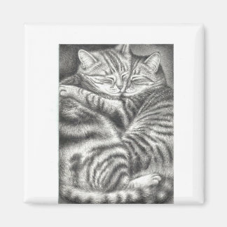 Íman Magneto de Casal Cat