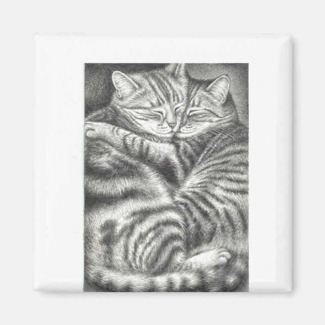 Íman Magneto de Casal Cat (Frente)