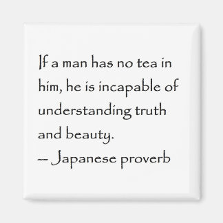 Íman Magneto de chá