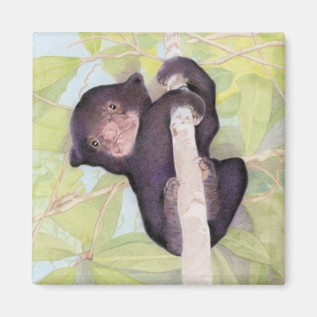 Íman Magneto de Cubo do Urso Sol (Frente)