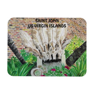 Íman Magneto de Donkeys