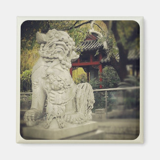 Íman Magneto de Dragão Chinês