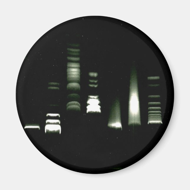 Íman Magneto de eletroforese do DNA Gel (Frente)