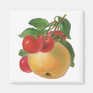 Íman Magneto de Fruta de Vintage