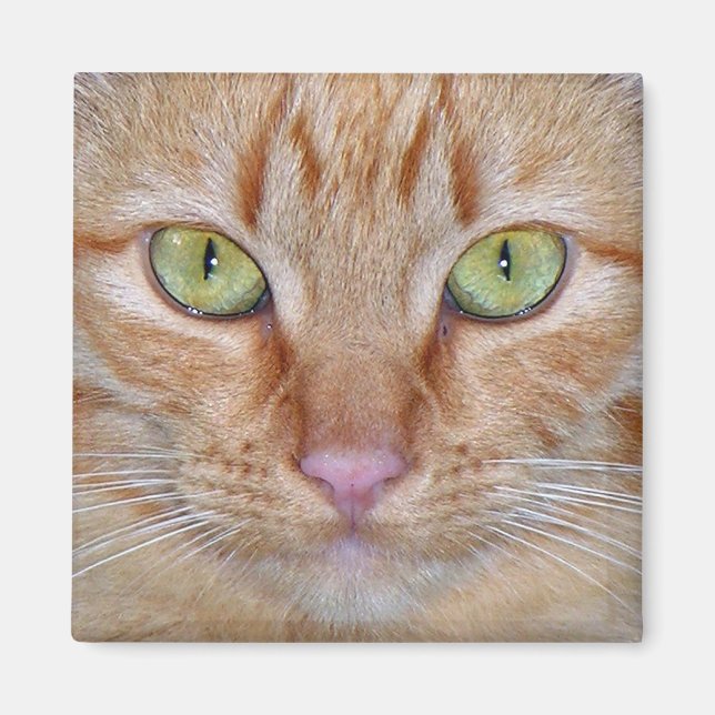 Íman Magneto de Gato Laranja (Frente)