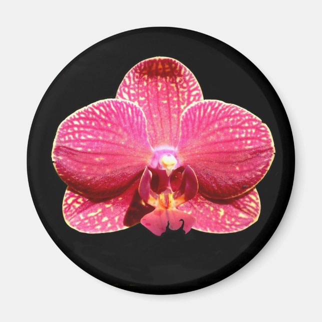 Íman Magneto de Orquídea Mágica (Frente)